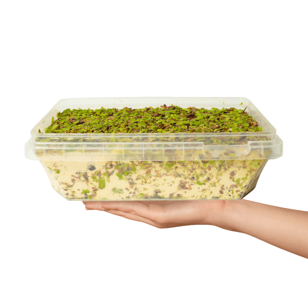 Baladna Halva covered with pistachios - Oriental 1800 g - Image 4