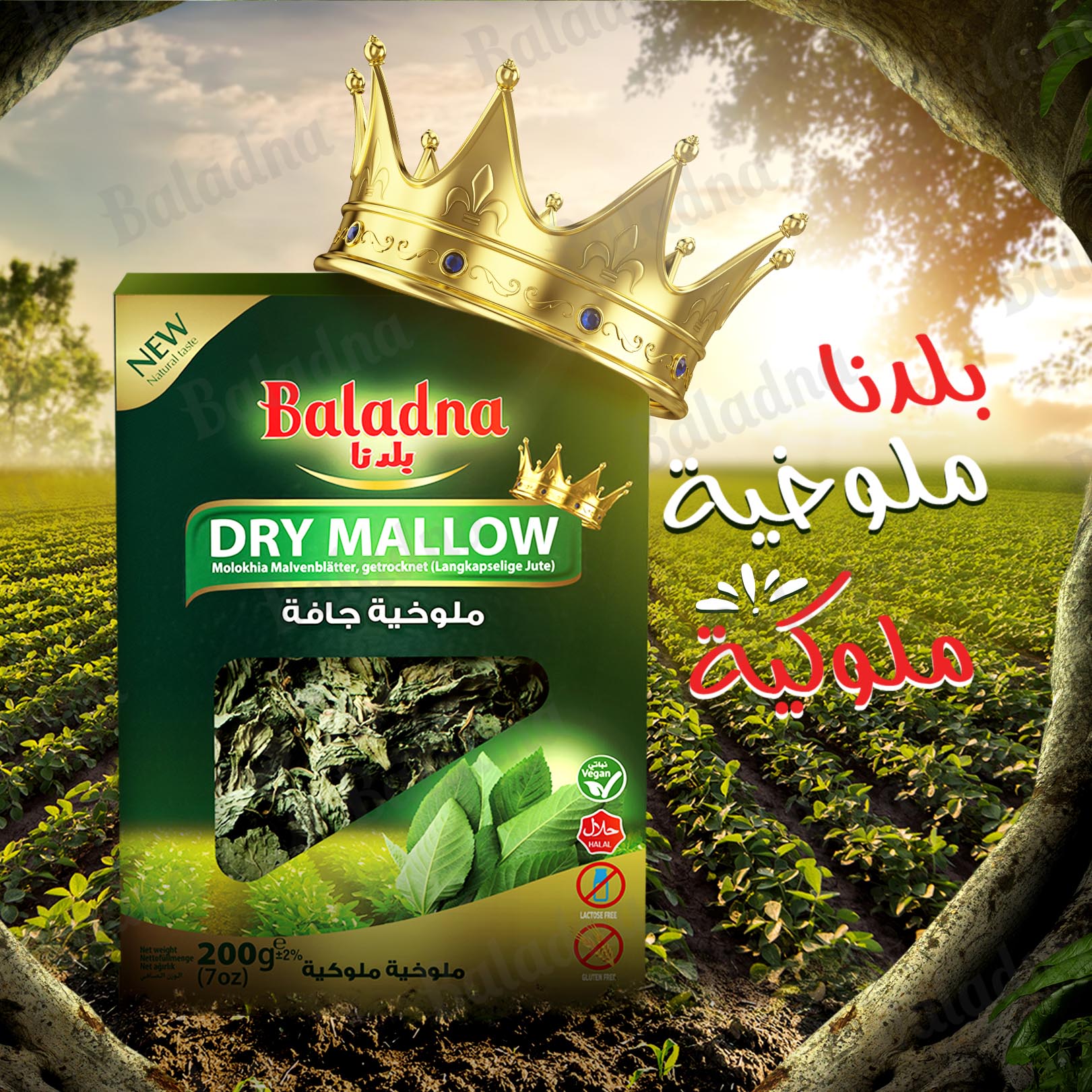 الملوخية الملوكية – طبخة يعشقها الملايين