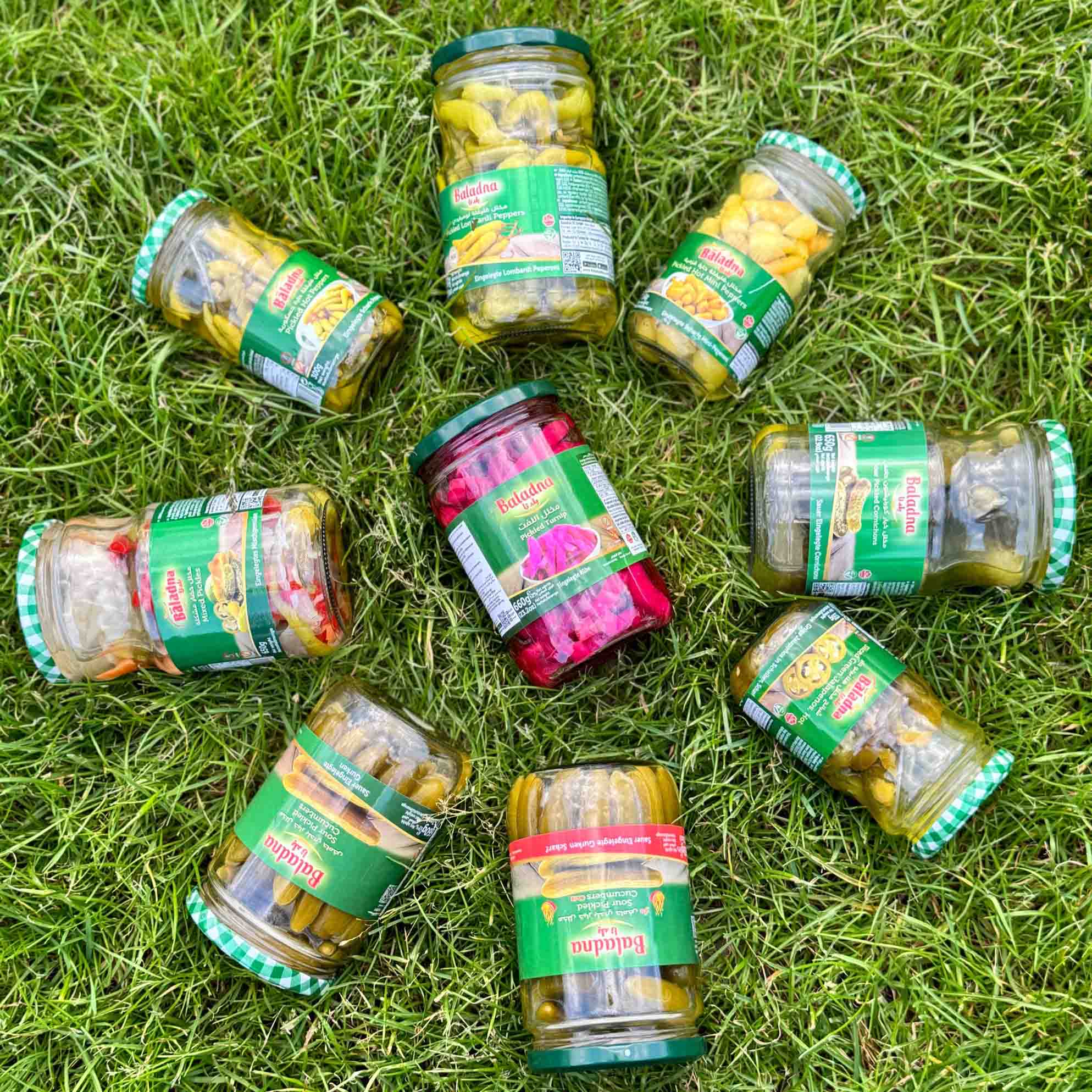 مخلل اللفت بلدنا… اللون الزهري المميز والنكهة الجريئة